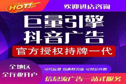成功SEM推广代运营案例分享